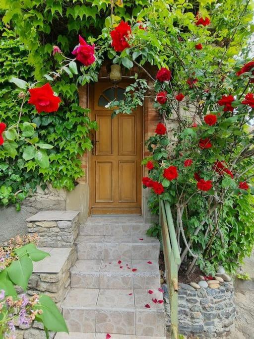 Maison Ideale Pour Une Famille Carcassonne Exteriér fotografie